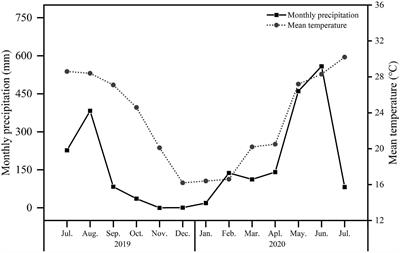 Effects of Fertilization and Dry-Season Irrigation on Litterfall Dynamics and Decomposition Processes in Subtropical Eucalyptus Plantations